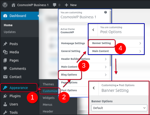 blog-options-banner-customization-cosmoswp