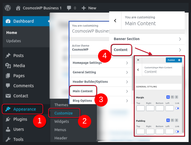 content-main-content-customize-cosmoswp