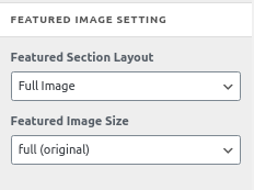 featured-image-setting-cosmoswp-blog-options