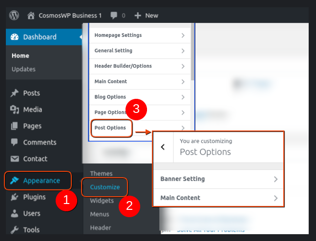 post-options-cosmoswp-customize